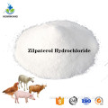 Buy online CAS119520-06-8 Zilpaterol Hydrochloride powder